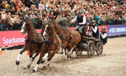 Partner Pferd 2024: Dries Degrieck – der schnellste Fahrer in Leipzig