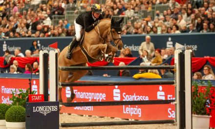 Partner Pferd 2024: Philipp Schulze Topphoff gewinnt mit Dakota de Semilly die 2. Qualification for 7year old horses