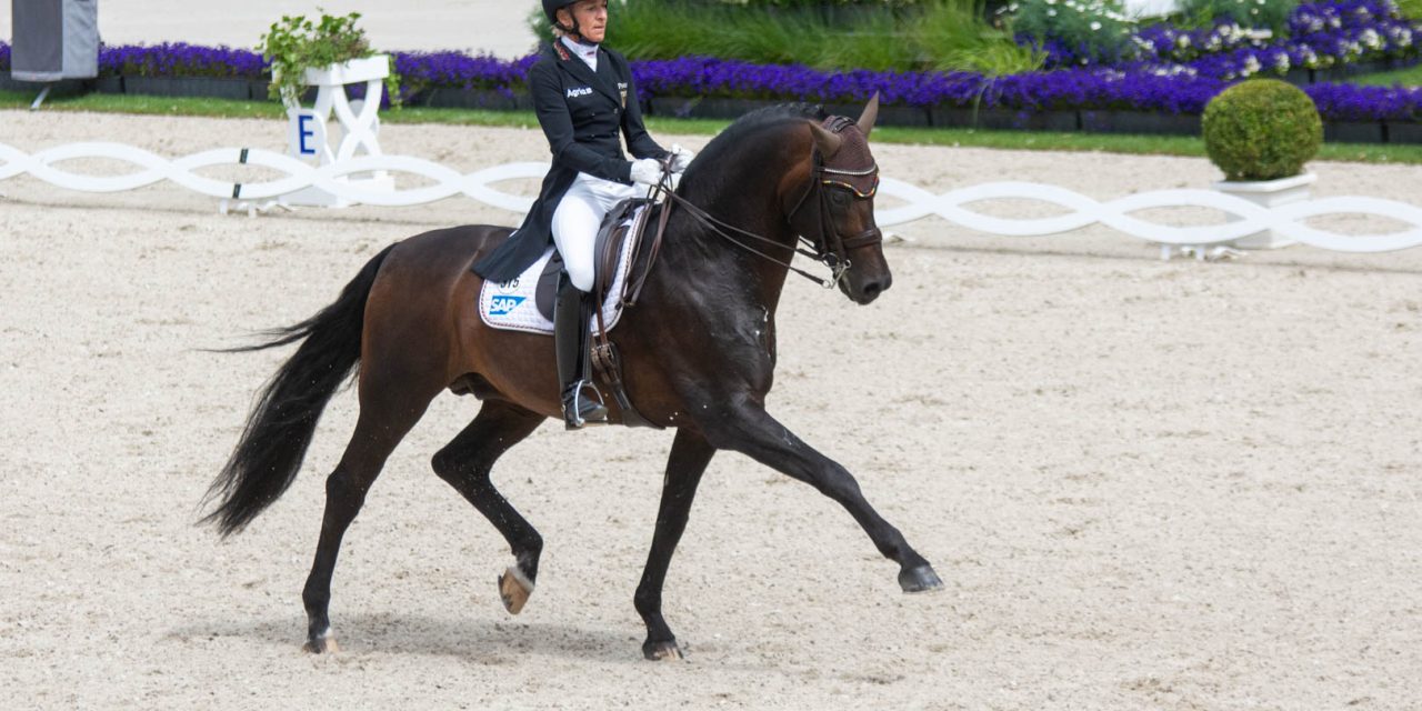 Ingrid Klimke mit Vayron auf Platz 1 im Grand Prix, dem Preis der iWest-Tierernährung Dr. Meyer GmbH&Co.KG
