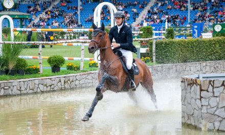 Morgen geht es los: Der CHIO Aachen 2025 beginnt