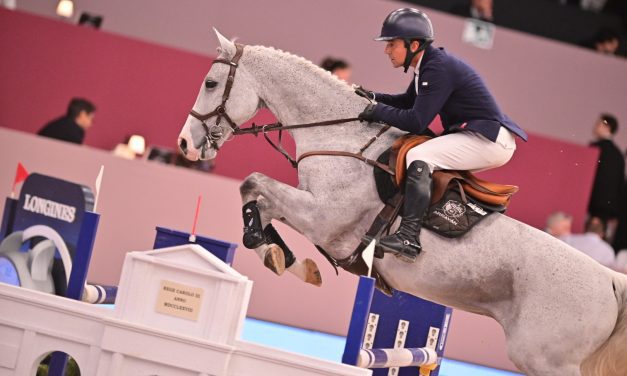 IFEMA Madrid Horse Week: Jesus Garmendia Echevarria erkämpft die TROFEO MUTUA MADRILEÑA