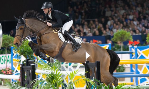 Belgischer Sieg durch Pieter Devos im Anemone Horse Trucks Grand Prix of Amsterdam powered by Stoeterij Sterrehof