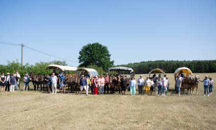 Eine Geburtstagsfeier der Superlative für Polly