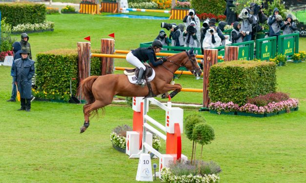 A great highlight of show jumping : Brussels Stephex Masters | 27 – 31 August 2025