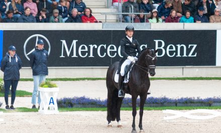 Justin Verboomen reitet mit Zonik Plus zum Sieg bei der EM in Crozet