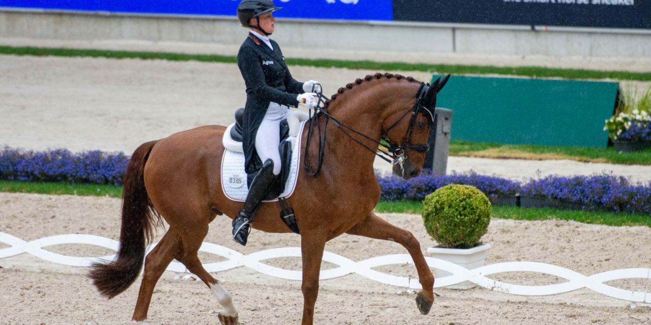 Katharina Hemmer und Denoix PCH  verzichten auf Teilnahme am „Top12 Dressage Final“ in Frankfurt