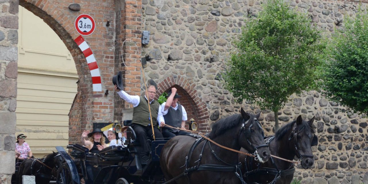 8. Granseeer Fahrsportfahrfestival