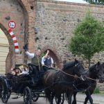 8. Granseeer Fahrsportfahrfestival