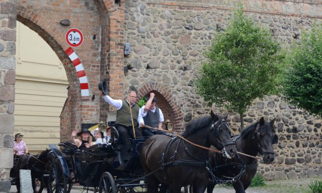 8. Granseeer Fahrsportfahrfestival