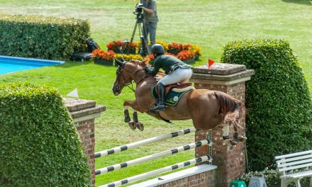 Stephan de Freitas Barcha fliegt im Longines Global Champions Tour Grand Prix du Prince de Monaco mit Dinozo Imperio Egipcio zum Sieg
