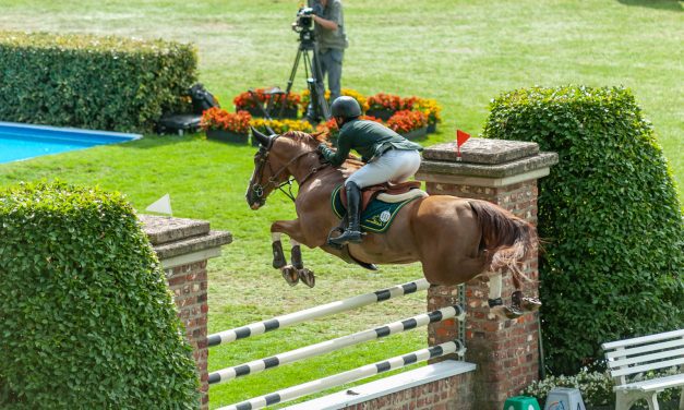Stephan de Freitas Barcha fliegt im Longines Global Champions Tour Grand Prix du Prince de Monaco mit Dinozo Imperio Egipcio zum Sieg