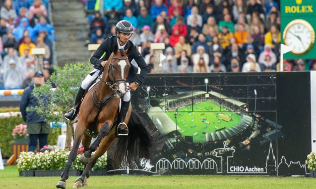 Steve Guerdat ist Weltmeister der Springreiter 2026