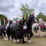 Das ASCANIA PFERDEFESTIVAL 2025