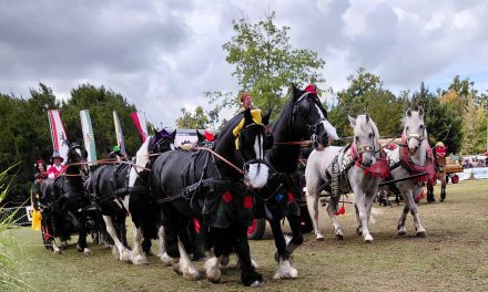 Das ASCANIA PFERDEFESTIVAL 2025