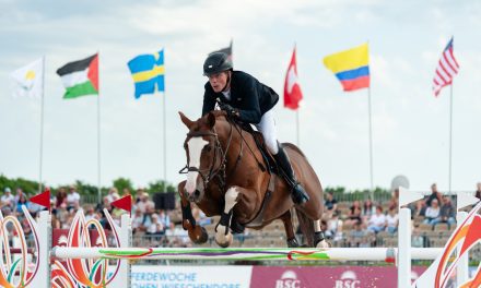 DKB Pferdewoche Hohen Wieschendorf 2026 – Hannes Ahlmann schneller als die Olympiasieger Steve Guerdat und Christian Kukuk