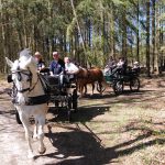 OHV (Oberhavel) ist Kutscherland (von Gastautorin Margot Schöning)