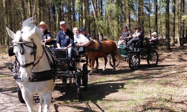 OHV (Oberhavel) ist Kutscherland (von Gastautorin Margot Schöning)