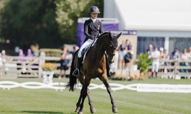 FEI Eventing World Championship: Nach der Dressur führt Julia Krajewski