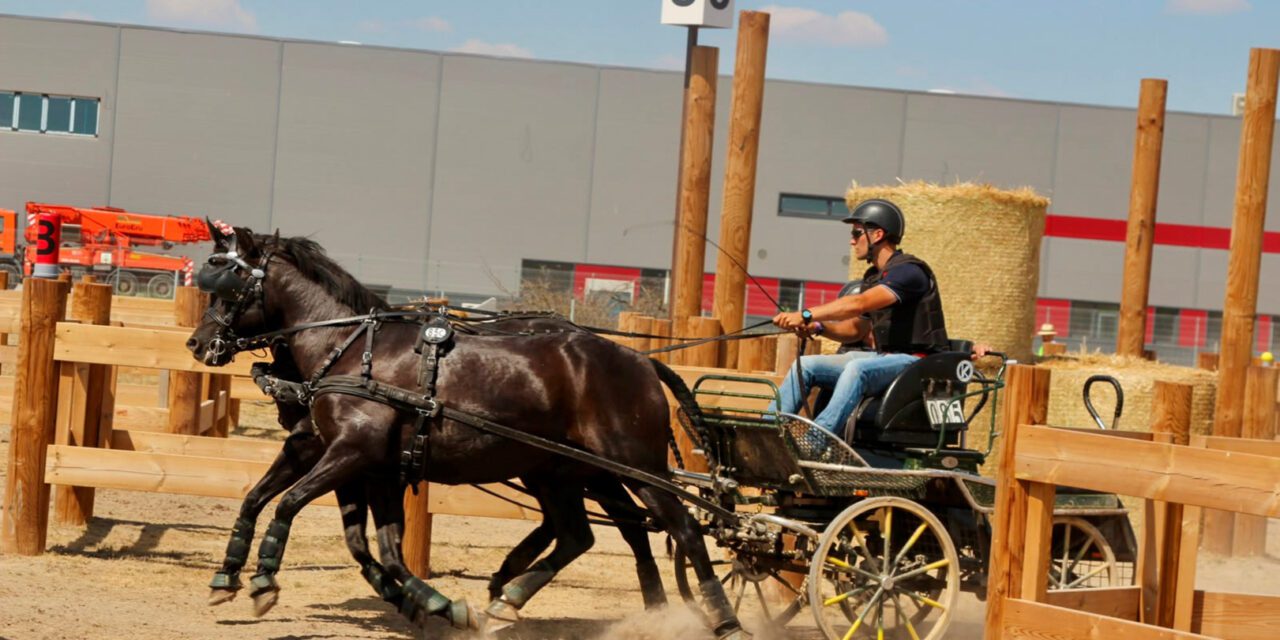 Der Silberkutscher aus Teschendorf