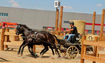 Der Silberkutscher aus Teschendorf