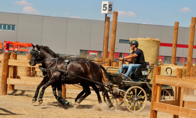 Der Silberkutscher aus Teschendorf