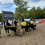 Europameister Andre Thieme beim 14.ASCANIA Pferdefestival 2026