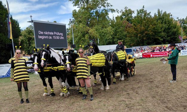 Europameister Andre Thieme beim 14.ASCANIA Pferdefestival 2026